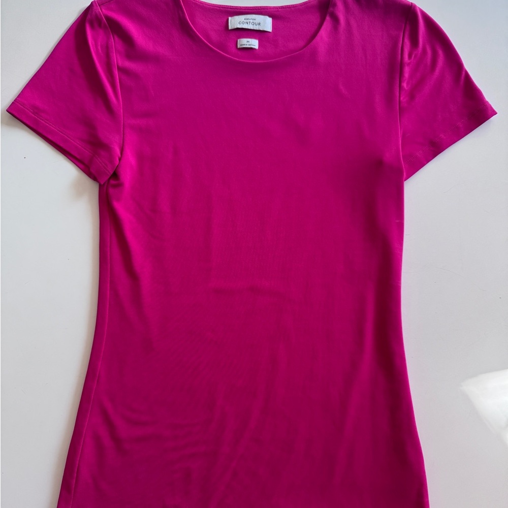 Aritzia Babaton sculpt knit shirt - women’s size M.